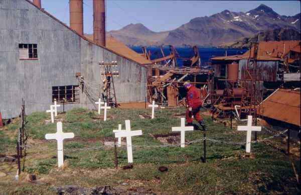 Abandoned Whaling Station