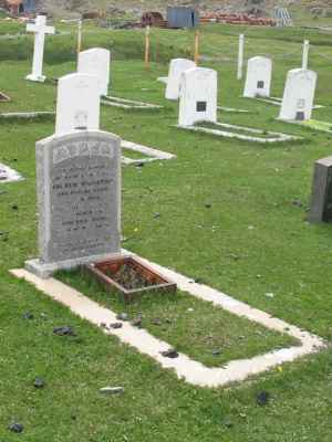 Grave of WILLIAMSON, Andrew