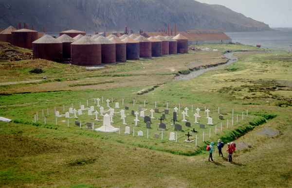 Leith(Main) cemetery near the abandoned whaling station